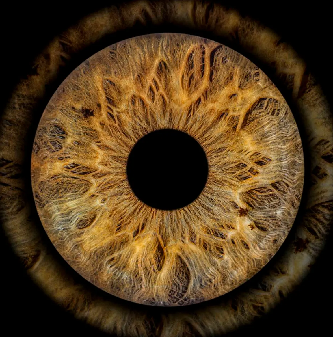 Music as a Weapon: Luna Motif Debuts with EP “Tender Weapons”