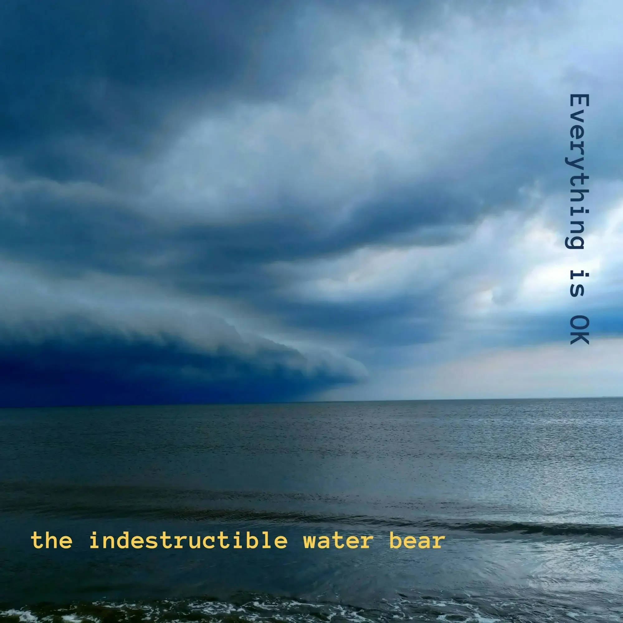 A Showcase like No Other: Everything is OK LP by The Indestructible Water Bear