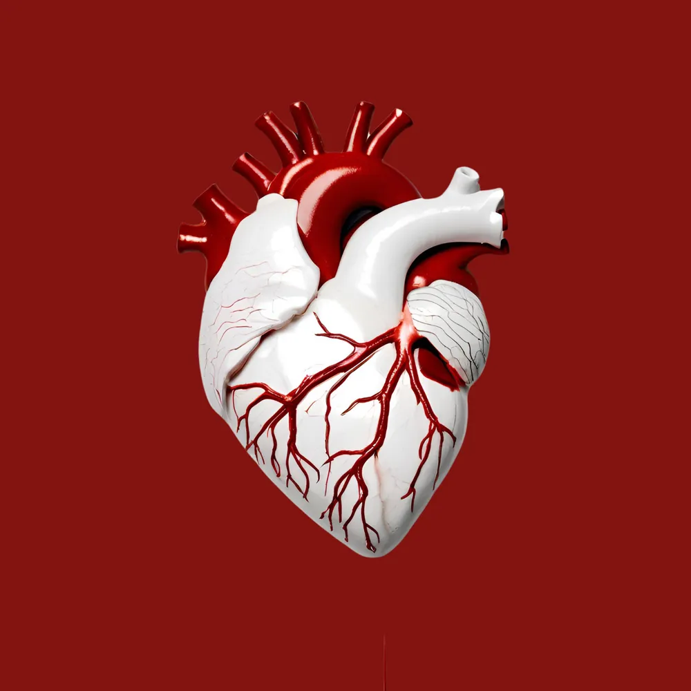 Head Bop and Connect with Jimmy B Fearless’ “The Love Is Real”