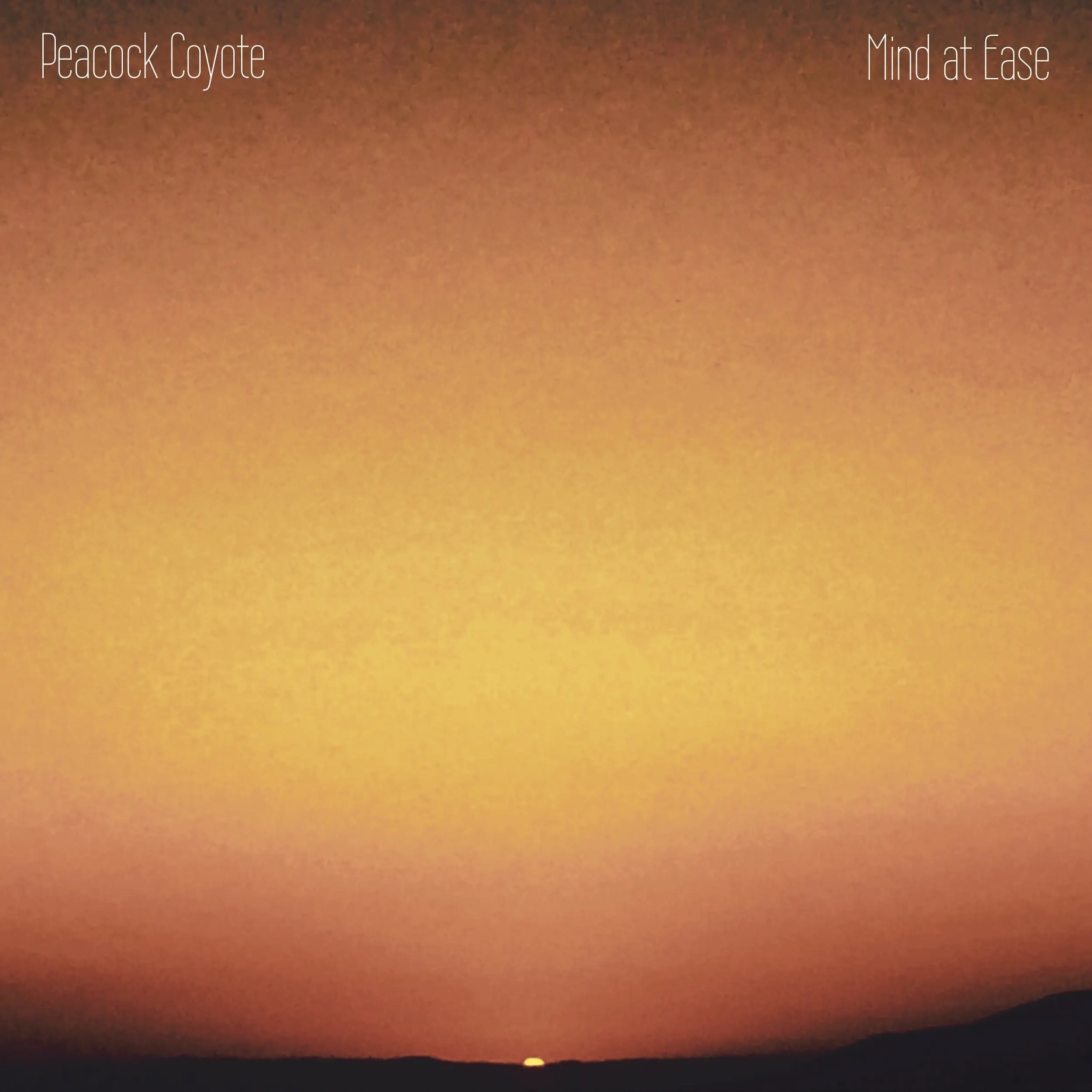 Mind at Ease is a must-listen for anyone who has ever gazed at a sunset and thought, “Yeah. This is it.”