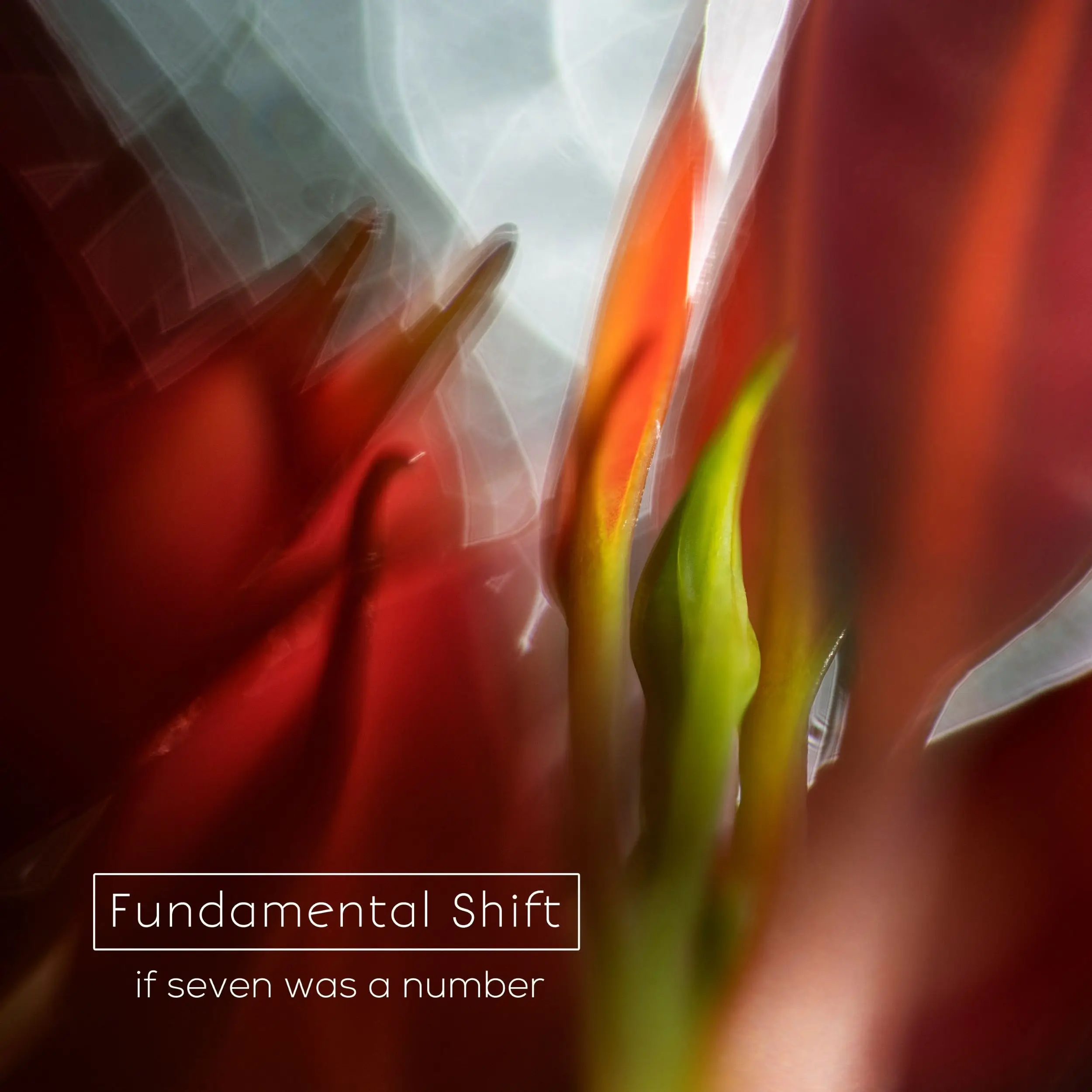 “If Seven Was a Number” Makes You Question Everything