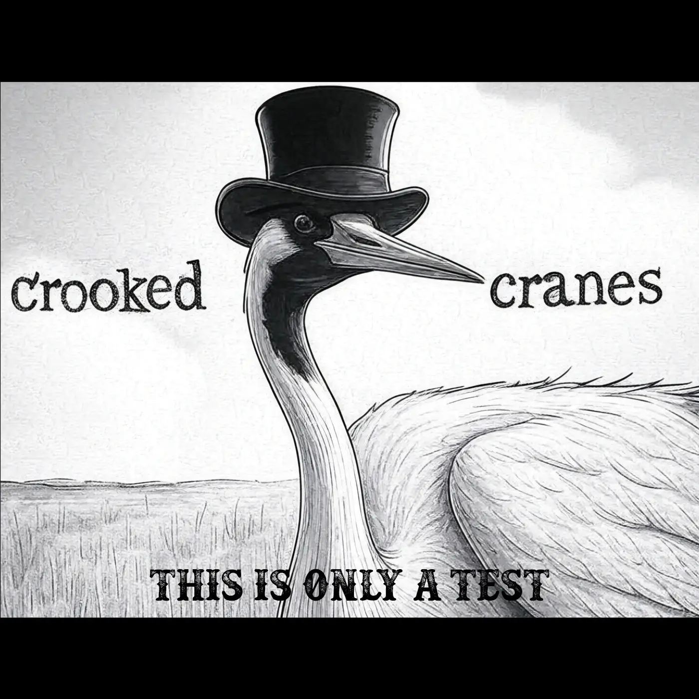 Listen to This Is Only a Test by Crooked Cranes if you want tracks that hits and lingers