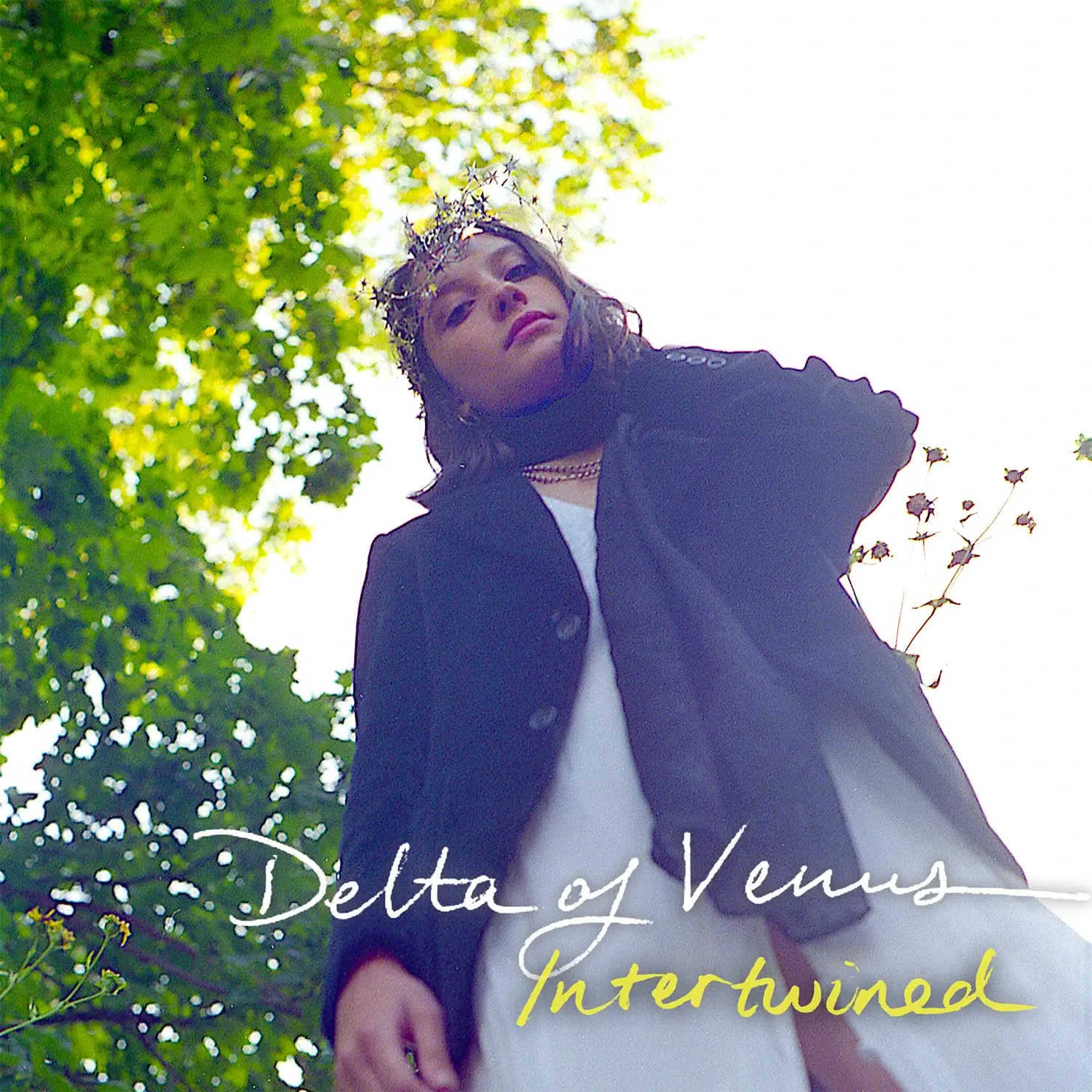 Delta of Venus’ “Intertwined B/W Intertwined (Acoustic)” Is The Definition Of Solace