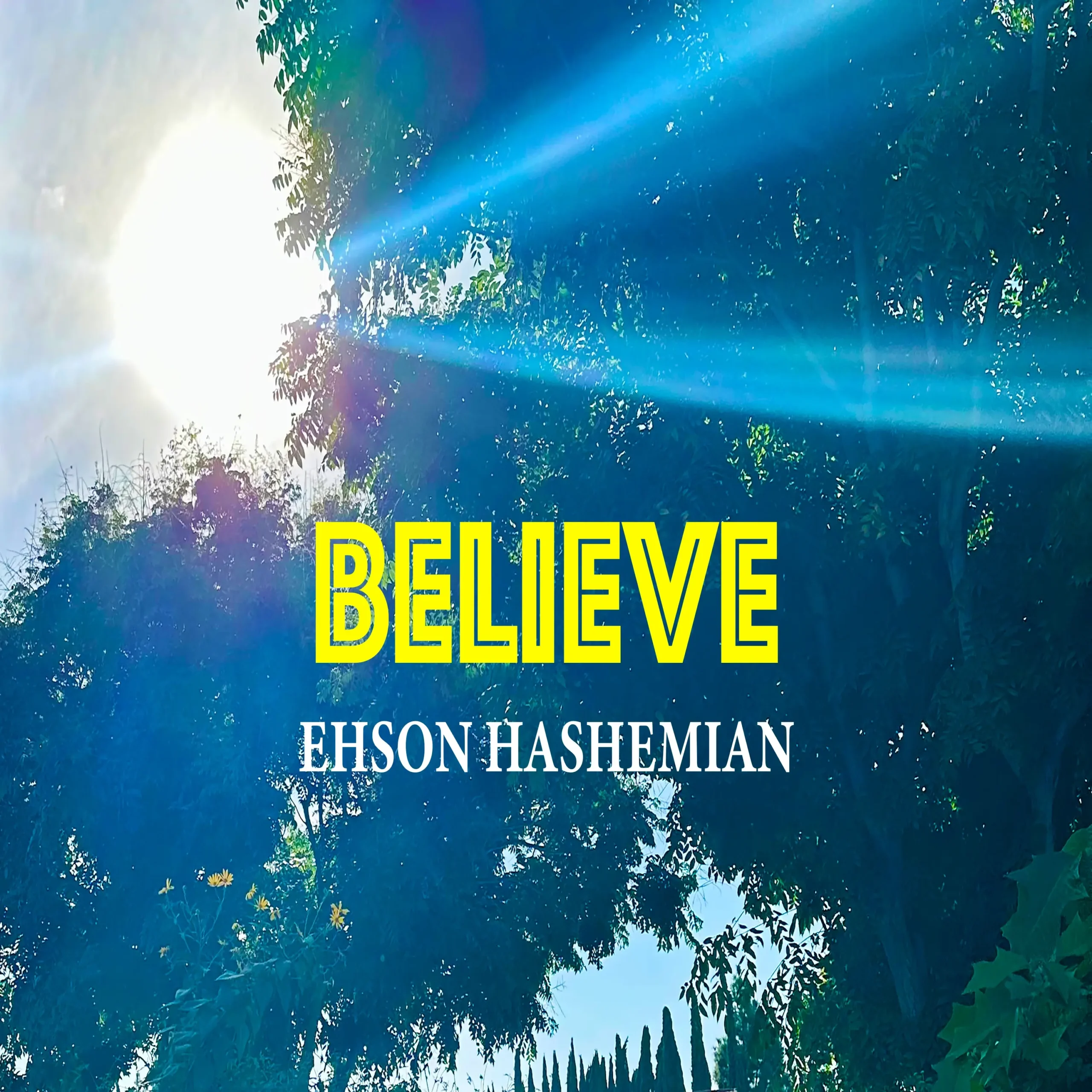 Ehson Hashemian’s Believe is emotionally devastating in a way that’s somehow also motivating
