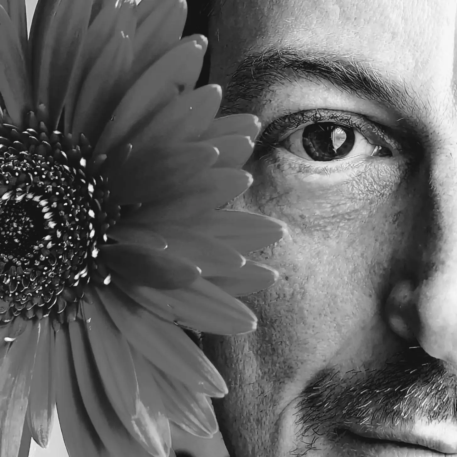 Activation by The Shields. is the sound of someone picking up the pieces, not to make a mosaic, but just to hold them for a while