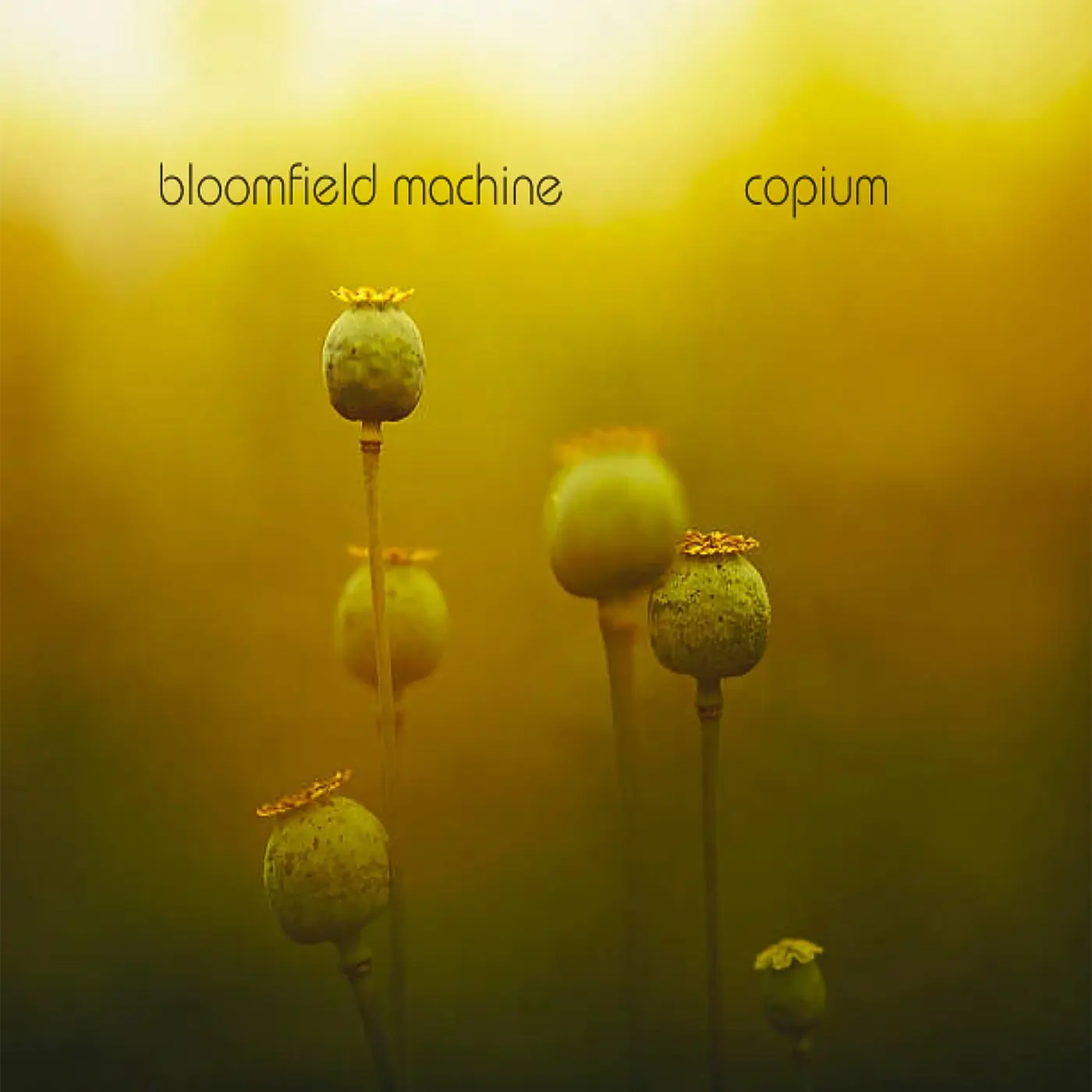 Bloomfield Machine’s Copium isn’t about escape or reinvention; it’s about survival