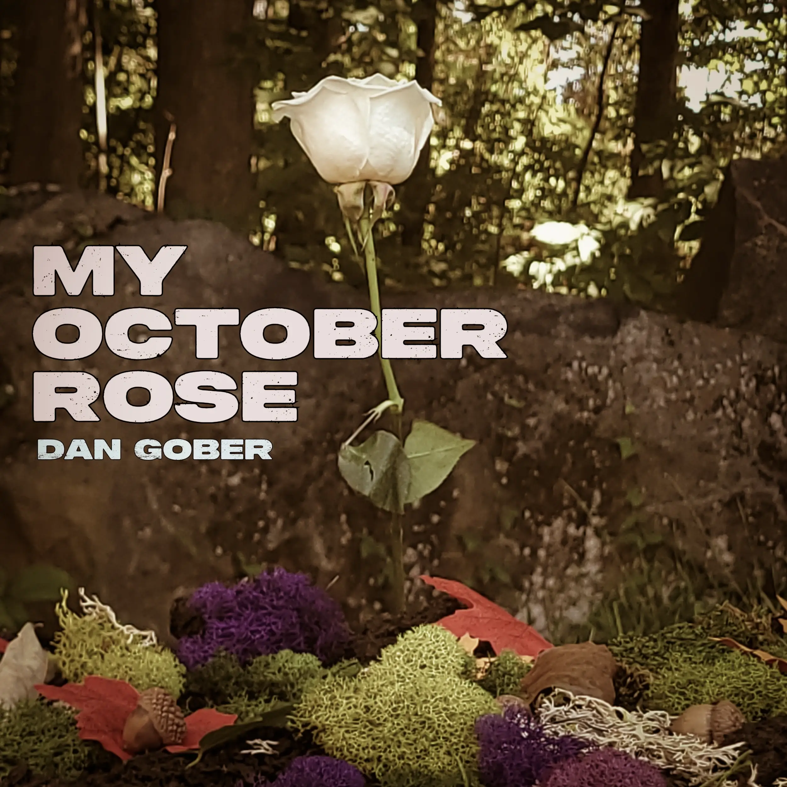 Dan Gober’s “My October Rose” Is Love Straight Out Of A Vinyl Record