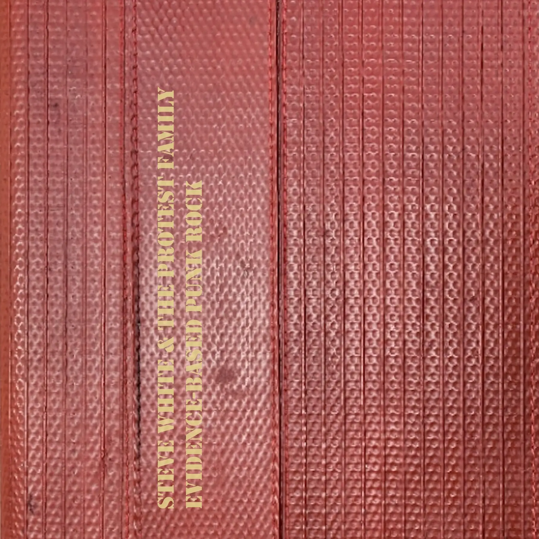 Steve White & the Protest Family’s “Evidence-Based Punk Rock” LP Is Punk in All Its Meaning