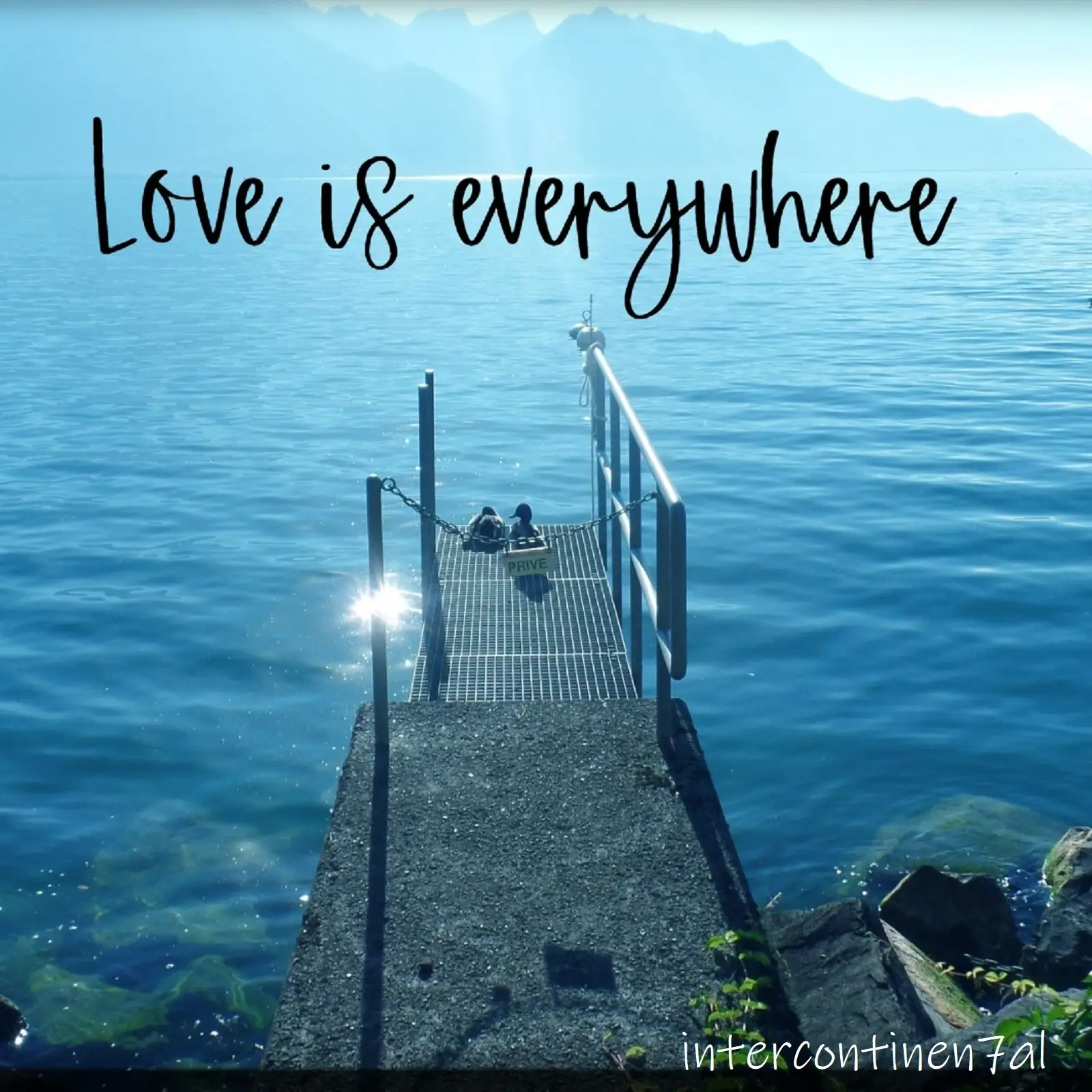 “Love is Everywhere” by INTERCONTINEN7AL Pulls You Into Tender Waves and Sunlight