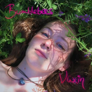 Vüxin’s ‘Bumblebees’ Wants You to Escape Modern Life